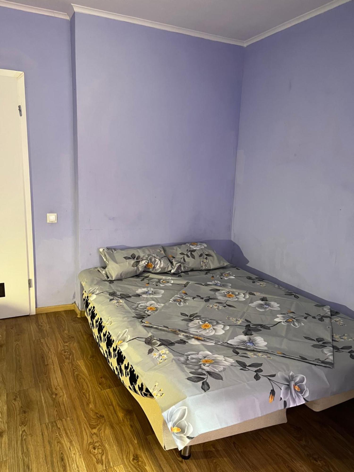 Ararat-Borschagovskaya Hostel キエフ エクステリア 写真